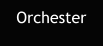 Orchester