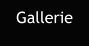 Gallerie