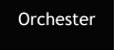 Orchester