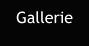 Gallerie