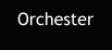 Orchester