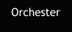 Orchester