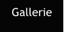 Gallerie